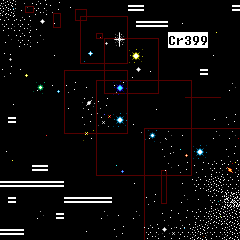 Microcosmos - COAT HANGER
