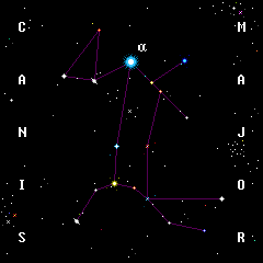 Microcosmos - DOG STAR