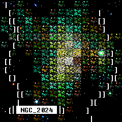 Microcosmos - JADE FLAME