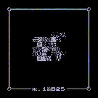 Wild MissingNo. 1&B25