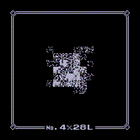 Wild MissingNo. 4x28L