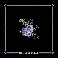 Wild MissingNo. 1Gj11