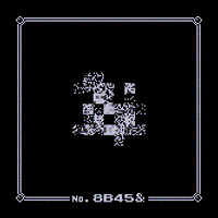 Wild MissingNo. 8B45&
