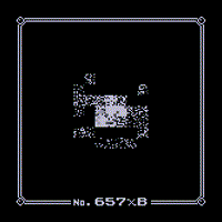 Wild MissingNo. 657xB
