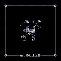 Wild MissingNo. 9L1z9