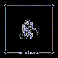 Wild MissingNo. 9&E51