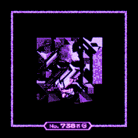 Wild MissingNo. 738jG